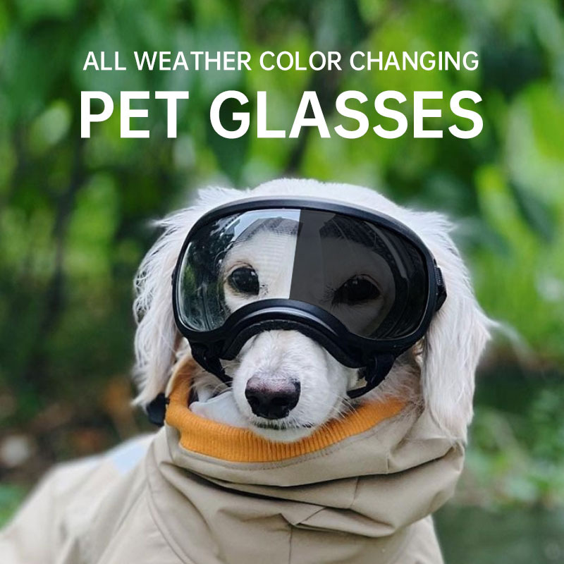 Snow Goggle Uv - 2026 Color changing pet glasses, dog
