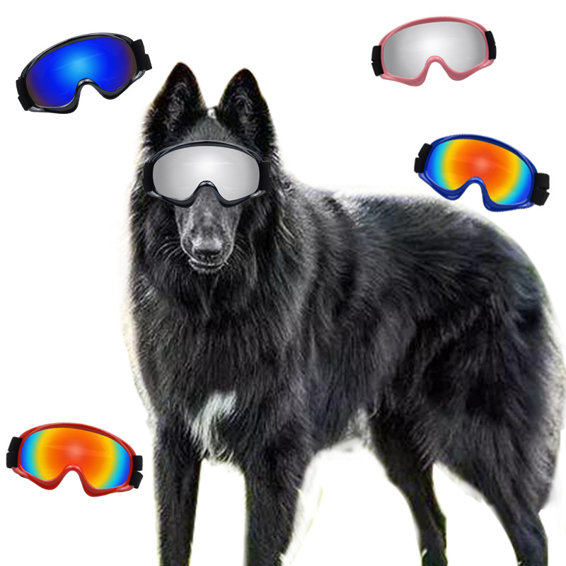 Pet Products Dog Goggles Windp - Snow Goggle Uv review and price