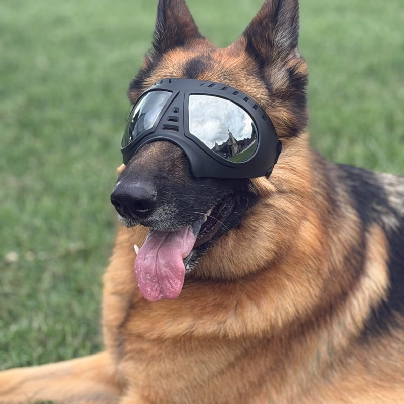 Pet Glasses for Medium Large-s - Snow Goggle Uv review and price