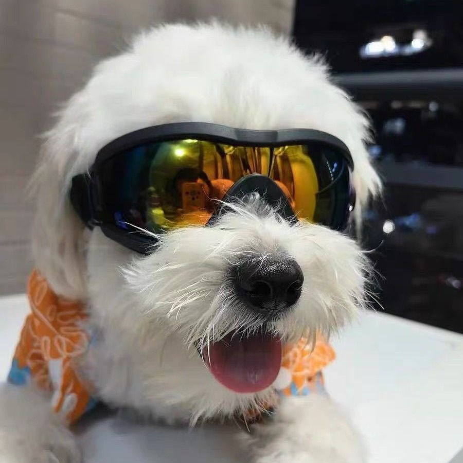 Adjustable TPU Dog Sunglasses  - Snow Goggle Uv review and price