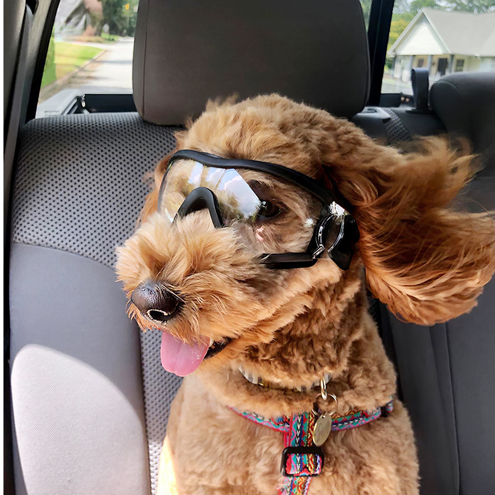 Protective Goggles for Dogs Pr - Snow Goggle Uv review and price