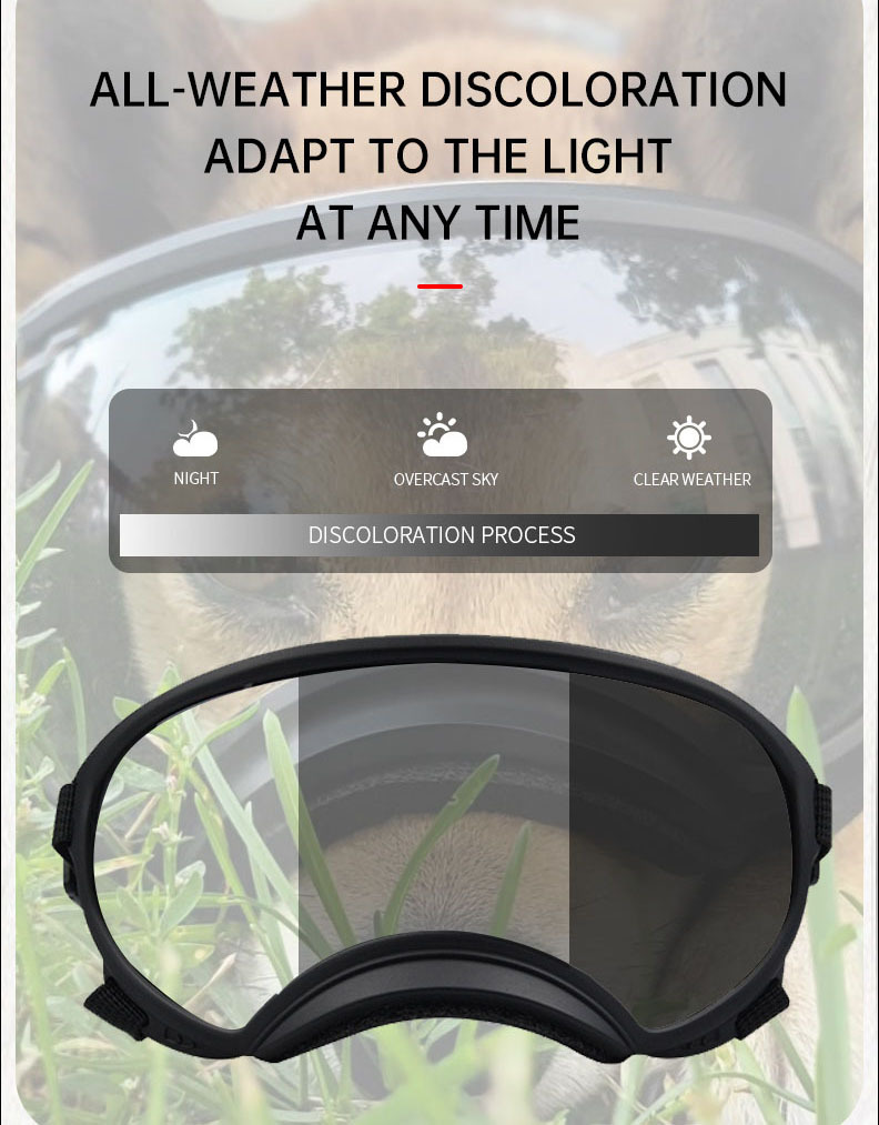 Color changing pet glasses dog - Snow Goggle Uv review and price